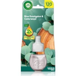 Air Wick Blue Eucalyptus & Cedarwood Wkład zapachowy 19 ml